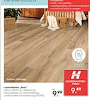 Aktuelles Laminatboden Angebot bei Hellweg in Hamm ab 9,49 €