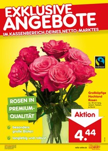 Pflanzen im Netto Marken-Discount Prospekt "Aktuelle Angebote" mit 66 Seiten (Aachen)