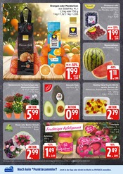 Gartengeräte im EDEKA Prospekt in Cuxhaven Aktueller EDEKA Prospekt mit Gartengeräte, "Top Angebote", Seite 4
