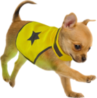 GILET DE SECURITÉ POUR CHIEN FLUO TAILLE S DUVOPLUS - DUVOPLUS - Auchan Hypermarché GILET DE SECURITÉ POUR CHIEN FLUO TAILLE S DUVOPLUS - DUVOPLUS à 4,72 € dans le catalogue Auchan Hypermarché