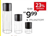 Pflanztopf Angebote von Ambia Home bei XXXLutz Möbelhäuser Göttingen für 9,99 €