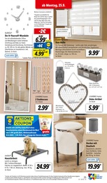 Tierfutter Angebot & Preis im aktuellen Lidl Prospekt Tierfutter Angebot im aktuellen Lidl Prospekt auf Seite 33