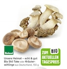 Bio Shiitake Angebot in Gomadingen Bio Shiitake im aktuellen Prospekt bei EDEKA in Gomadingen