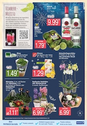 Aktueller Marktkauf Prospekt mit Orchidee, "Top Angebote", Seite 9