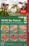 Bio Fleisch Bio Fleisch