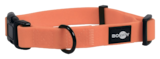 Collier S - BODDY dans le catalogue Maxi Zoo