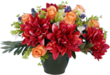 Bazarland Latour-Bas-Elne - Promo Pot dahlias et boutons Promo Pot dahlias et boutons à 16,99 € dans le catalogue Bazarland à Latour-Bas-Elne