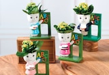 Kalanchoe Figurine Maîtresse - Hyper U à Dreux Kalanchoe Figurine Maîtresse en promo chez Hyper U Dreux à 6,99 €