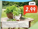 Vitalkräuter in Sorten bei Raiffeisen Rhein-Ahr-Eifel Handelsgesellschaft mbH im Prospekt "" für 2,99 €