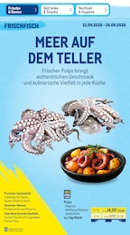 METRO Tintenfisch im Prospekt 