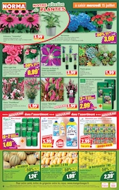 Prospectus Norma "Votre Discounter Régional" en cours à Metz, Page 4 Catalogue Norma en cours à Metz, "Votre Discounter Régional", Page 4