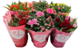 Edelrosen im Angebot bei EDEKA in Neumünster Edelrosen Angebote bei EDEKA Neumünster für 2,99 €