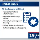 Herbst-Check im Angebot bei AUTOPLUS in Garbsen Herbst-Check Angebote bei AUTOPLUS Garbsen für 19,95 €
