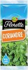 Coriandre - FLORETTE dans le catalogue Intermarché Super