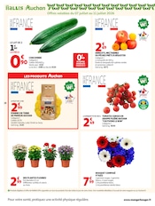 Prospectus Auchan Hypermarché "LES TOPS" en cours à Avignon, Page 28 Catalogue Auchan Hypermarché en cours à Avignon, "LES TOPS", Page 28