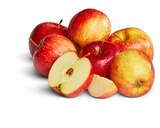 Aktuelles Deutsche rote Äpfel Angebot bei Penny in Dresden ab 2,79 €