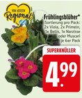 Aktuelle Pflanzen Angebote bei EDEKA in Regensburg Aktuelles Frühlingsblüher Angebot bei EDEKA in Regensburg ab 4,99 €