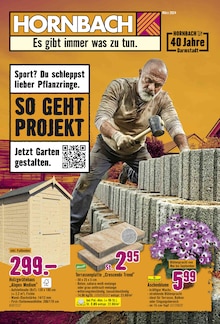 Gartenbepflanzung im Hornbach Prospekt "Sport? Du schleppst lieber Pflanzringe." mit 33 Seiten (Darmstadt)