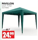 Aktuelles PAVILLON Angebot bei Wreesmann in Cottbus ab 24,99 €