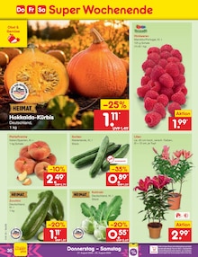 Puma Angebot im Netto Marken-Discount Prospekt, gültig von 24.08.2026 bis 29.08.2026 Puma Angebot im aktuellen Netto Marken-Discount Prospekt auf Seite 44