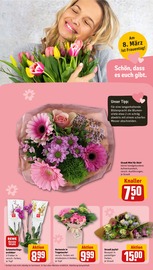 Aktueller REWE Prospekt mit Orchidee, "Dein Markt", Seite 9