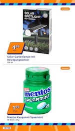 Action Garten im Prospekt 