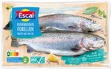 Regenbogen-Forellen Angebote von Escal bei Kaufland Erkelenz für 7,99 €