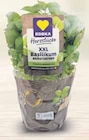 Angebot im WEZ Rahden Prospekt WEZ Rahden Prospekt mit im Angebot für 1,49 €