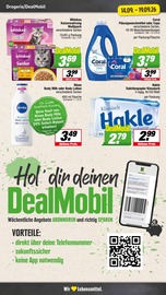 Katzenfutter im EDEKA Prospekt in Ahlen Aktueller EDEKA Prospekt mit Katzenfutter, "Aktuelle Angebote", Seite 24