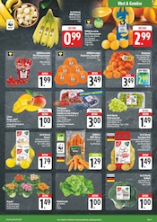 Garten im EDEKA Prospekt in Hoyerswerda Aktueller EDEKA Prospekt mit Garten, "Wir lieben Lebensmittel!", Seite 3