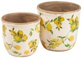 Deko-Pflanztöpfe Angebote bei Penny Halberstadt für 3,99 €