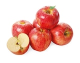 Snack Äpfel Gala von REWE Beste Wahl im aktuellen REWE Prospekt