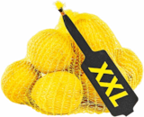 Aktuelles Zitronen Angebot bei Netto Marken-Discount in Wuppertal ab 2,49 €