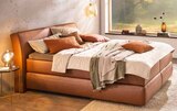 Aktuelles Boxspringbett "BX910" Angebot bei Segmüller in Frankfurt (Main) ab 3.699,00 €