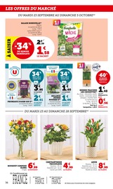 Chrysanthèmes Angebote im Prospekt "Hyper U" von Hyper U auf Seite 36