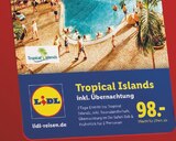 Aktuelles Tropical Islands inkl. Übernachtung Angebot bei Lidl in Bielefeld ab 98,00 €