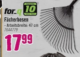 Fächerbesen im aktuellen Hornbach Prospekt