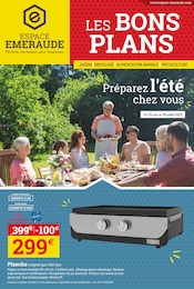 Catalogue Jardineries & Animaleries Espace Emeraude en cours à Saint-Louis et alentours, "Préparez l'été chez vous", 4 pages, 25/06/2025 - 19/07/2025
