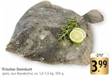 Frischer Steinbutt Angebote bei E center Nürtingen für 3,99 €