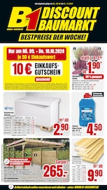 Aktueller B1 Discount Baumarkt Baumarkt Prospekt in Ludwigshafen und Umgebung, "BESTPREISE DER WOCHE!" mit 8 Seiten, 05.10.2024 - 11.10.2024