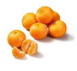 Mandarinen/Clementinen von  im aktuellen Lidl Prospekt für 2,99 €