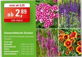Angebot im ZG Raiffeisen Bruchsal Prospekt ZG Raiffeisen Bruchsal Prospekt mit im Angebot für 2,89 €