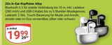 2Go In-Ear-Kopfhörer Alloy Angebote bei GLOBUS Neustadt für 19,99 €