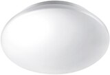 LED-Wand-und-Decken-Leuchte MOIRE im Angebot bei Penny-Markt in Essen LED-Wand-und-Decken-Leuchte MOIRE Angebote von Philips bei Penny-Markt Essen für 12,99 €