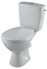 PACK WC A POSER ELZO NF - GODART en promo chez Mr.Bricolage Épinal à 99,00 €