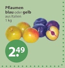 Pflaumen im V-Markt Prospekt Pflaumen von im aktuellen V-Markt Prospekt für 2,49 €
