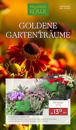 Pflanzen Kölle Prospekt für Berlin: "GOLDENE GARTENTRÄUME", 18 Seiten, 06.10.2025 - 12.10.2025