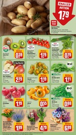 Ähnliche Angebote wie Gurkenpflanze im Prospekt "Dein Markt" auf Seite 11 von REWE in Bochum