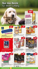 Aktueller Raiffeisenmarkt Prospekt mit Hundefutter, "Gartenzeit & Spielspaß Wohlfühlen für alle", Seite 3