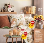 Deko-Kissen im Angebot bei Penny in Coburg Deko-Kissen Angebote von Home Ideas Living bei Penny Coburg für 5,99 €